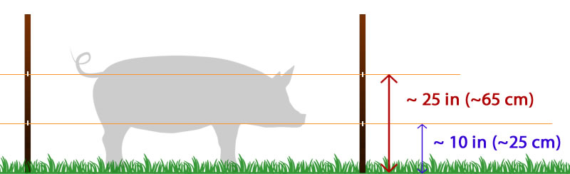 Electric Fence For Pigs