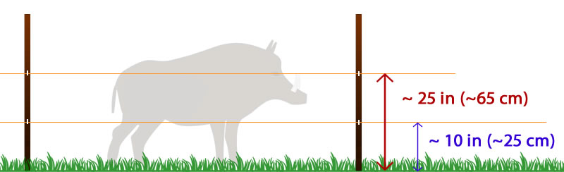 Electric Fence For Wild Boars