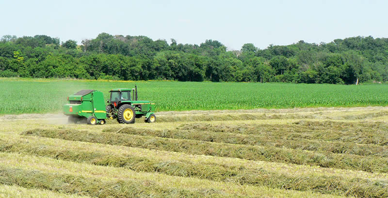 Making Hay - Hay Harvesting