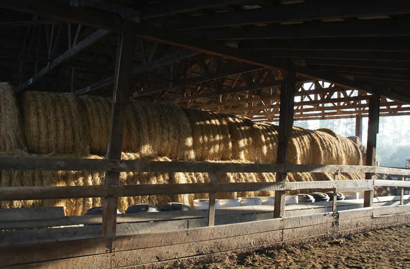 Proper Storage Of Bales - Indoor Storage