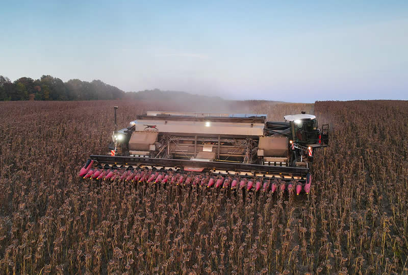 Sunflower harvesting with the NexCo mounted combine and the NEXAT carrier vehicle