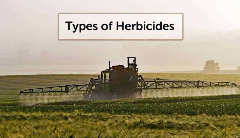Types of herbicides