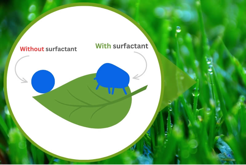 How surfactant works