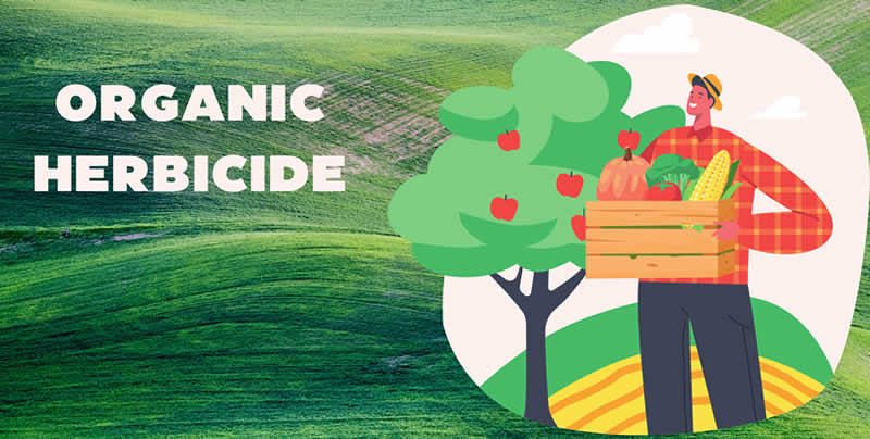 Organic herbicide - The Complete Guide