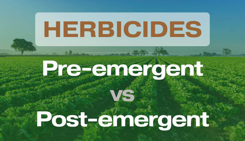 Pre-emergent vs. Post-emergent Herbicides