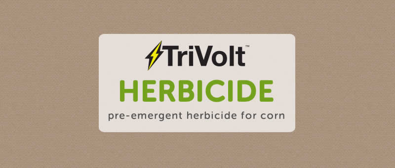 Trivolt - pre-emergent herbicide for corn