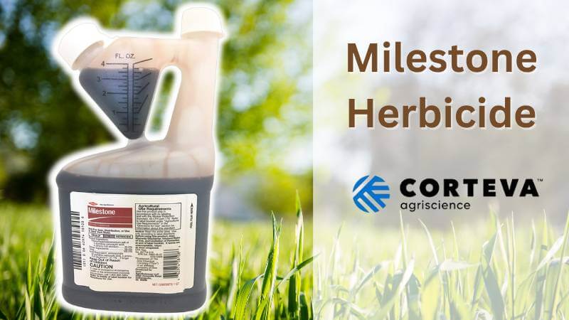 Milestone Herbicide