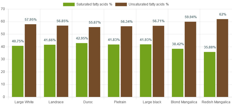 Saturated and unsaturated fatty acids in back fat of several modern pig breeds and Pietrain