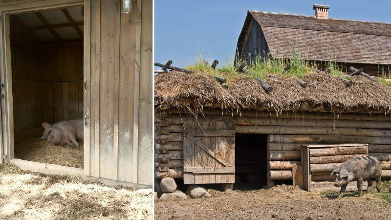 Solid wooden structure for pigs