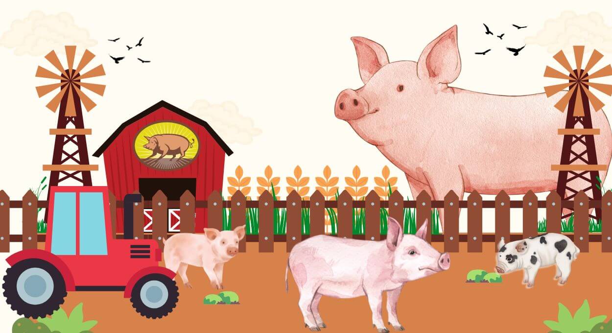 Pig Farming Category - FarmerDB