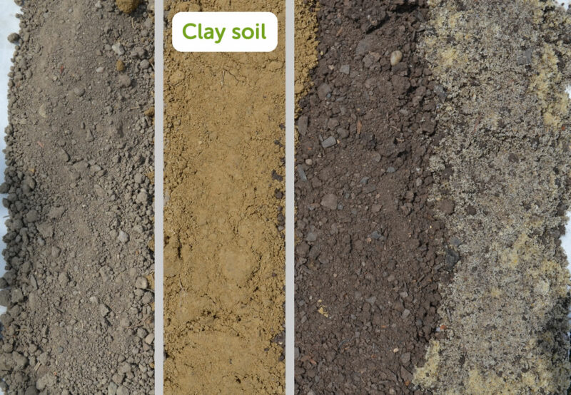 Types Of Soil For Farming And Gardening