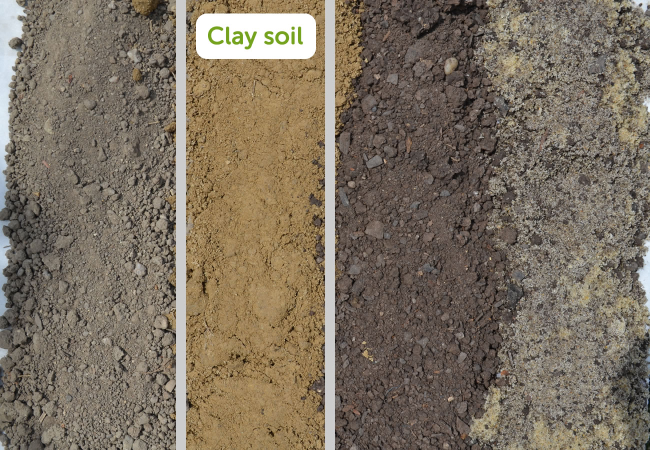 Types of Soil - Clay Soil