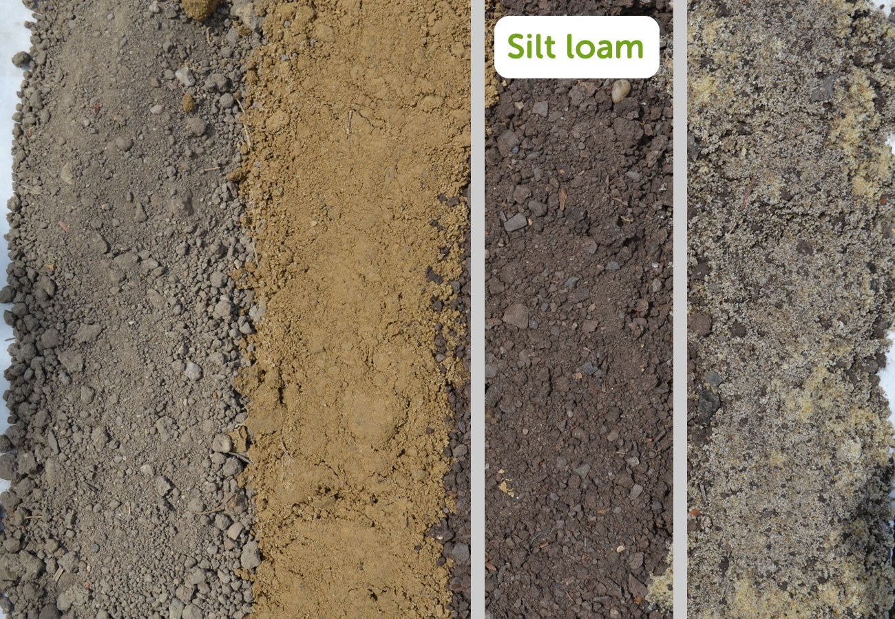 Types of Soil - Silt loam