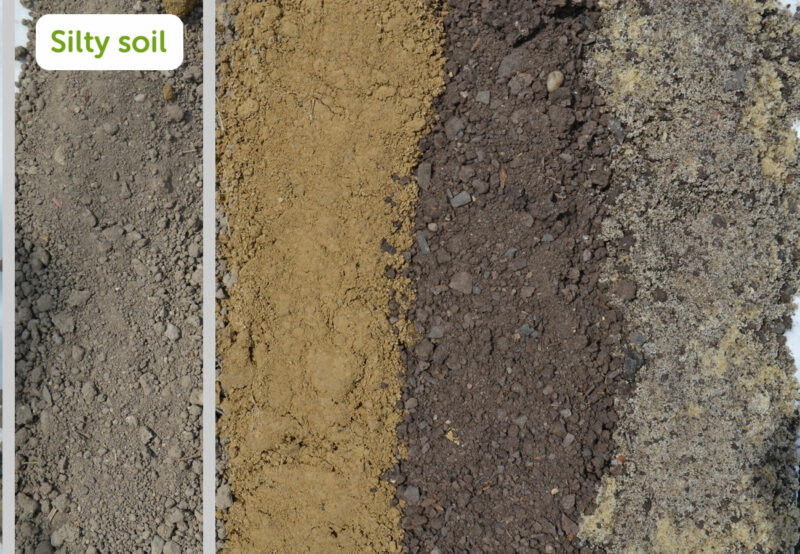 Types of Soil for Farming and Gardening FarmerDB