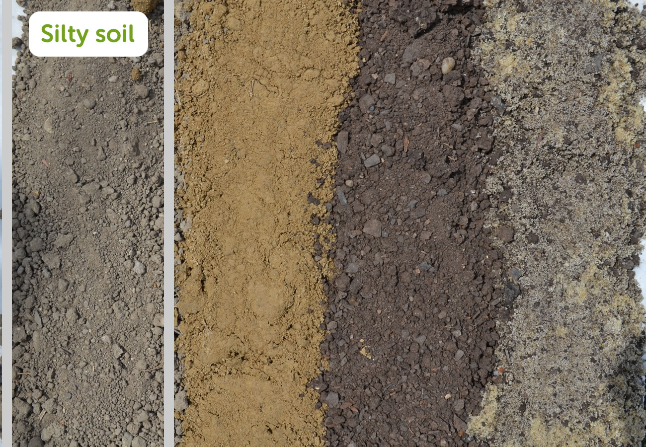 Types of Soil - Silty Soil