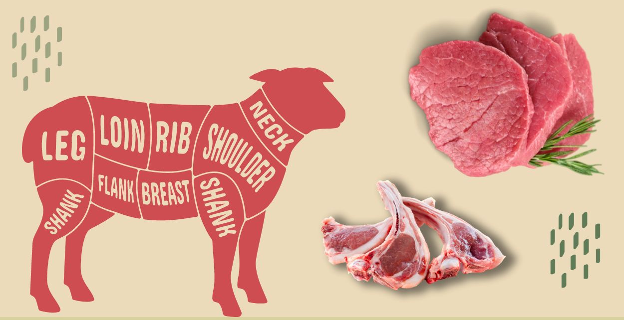 Hebridean sheep meat