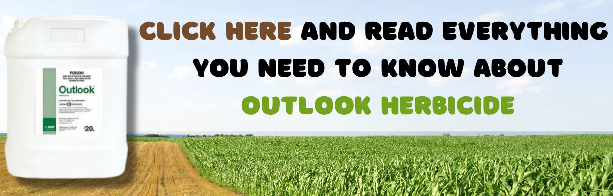 outlook herbicide